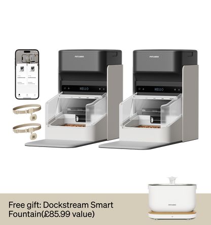 One RFID Smart Feeder