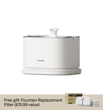 Dockstream 2 Smart Fountain