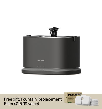 Dockstream 2 Smart Fountain