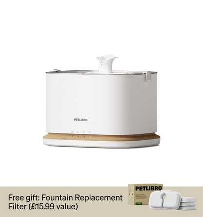 Dockstream 2 Smart Fountain