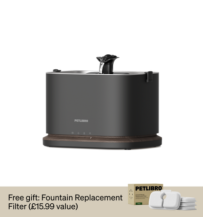Dockstream 2 Smart Fountain