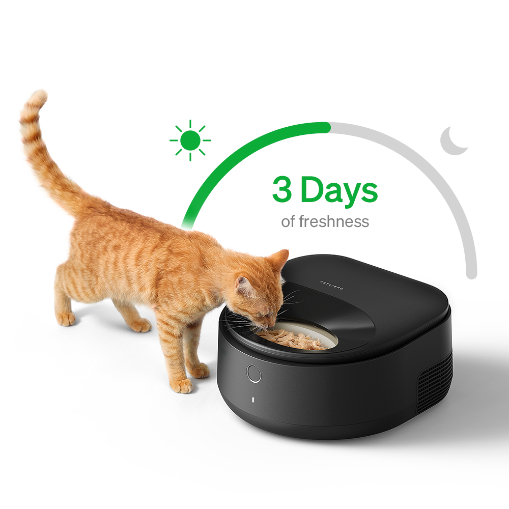 Polar Smart Wet Food Feeder
