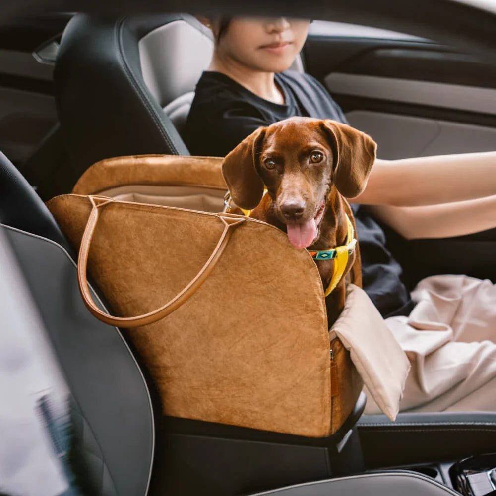 Stylish Eco-Friendly Dog Travel Bag - Lightweight, Spacious, and Multifunctional Pet Carrier for All Seasons