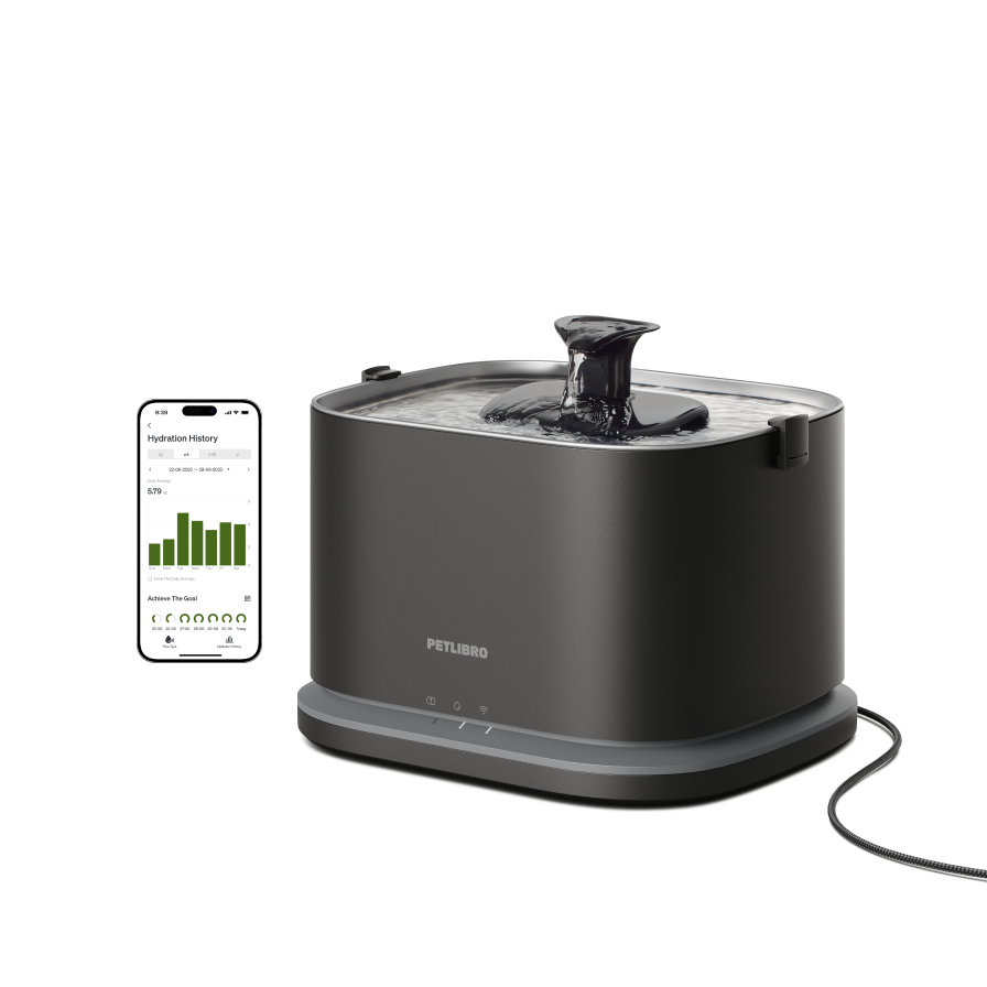 Dockstream 2 Smart Fountain