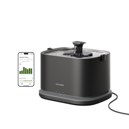 Dockstream 2 Smart Fountain