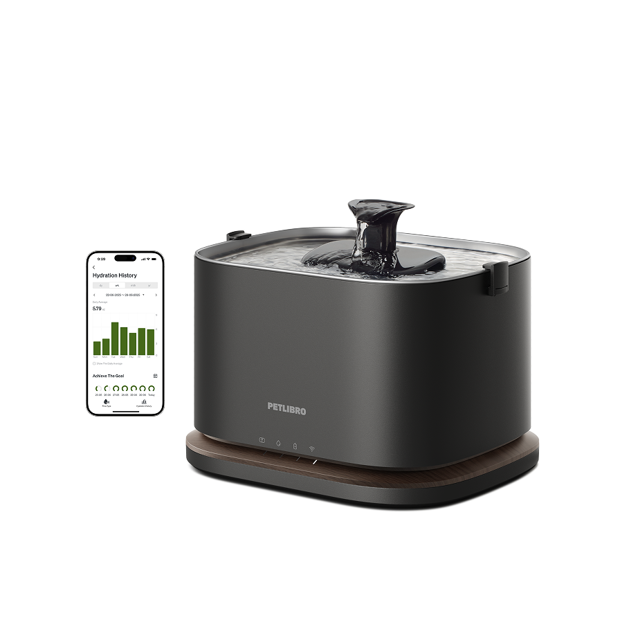 Dockstream 2 Smart Fountain