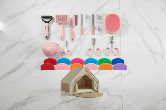 The Ultimate Maine Coon Gift Set — Grooming, Feeding & Hideaway Bundle